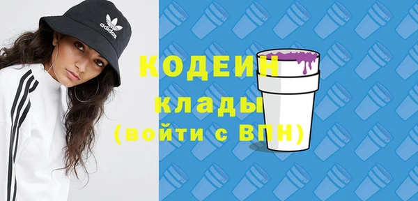 МДПВ Ельня