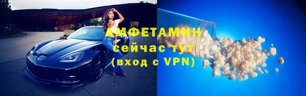 МДПВ Ельня