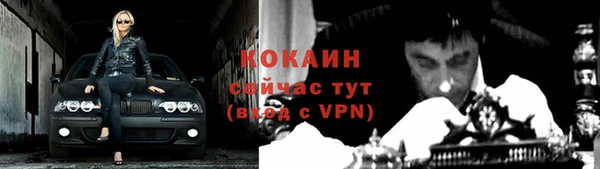 МДПВ Ельня