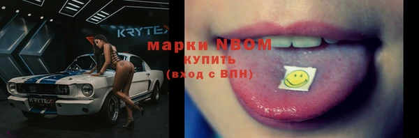 МДПВ Ельня