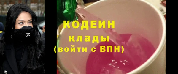 МДПВ Ельня