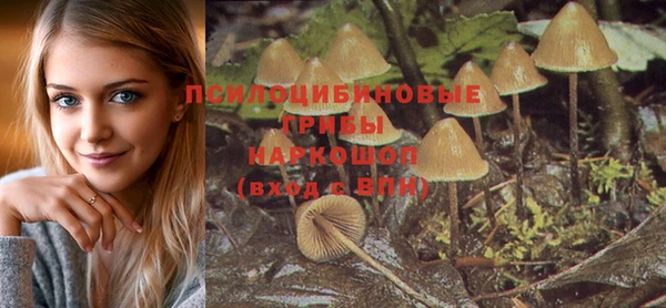 бутират Елизово