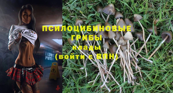 тгк Елабуга