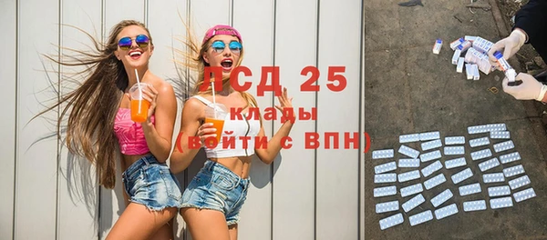 МДПВ Ельня