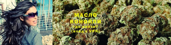 МДПВ Ельня