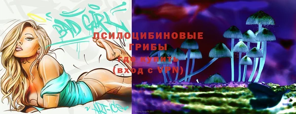 МДПВ Ельня