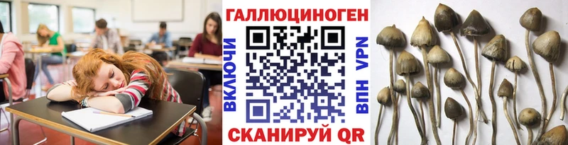 Купить закладки Кола Галлюциногенные грибы прущие грибы